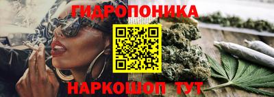 СК Краснодар