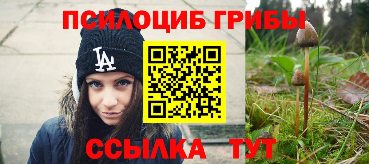 Галлюциногенные грибы прущие грибы  Вход с VPN  Изобильный 